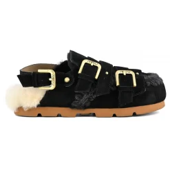 Winter Bio Belts