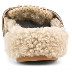 Winter Bio Slide - Big Letter Logo